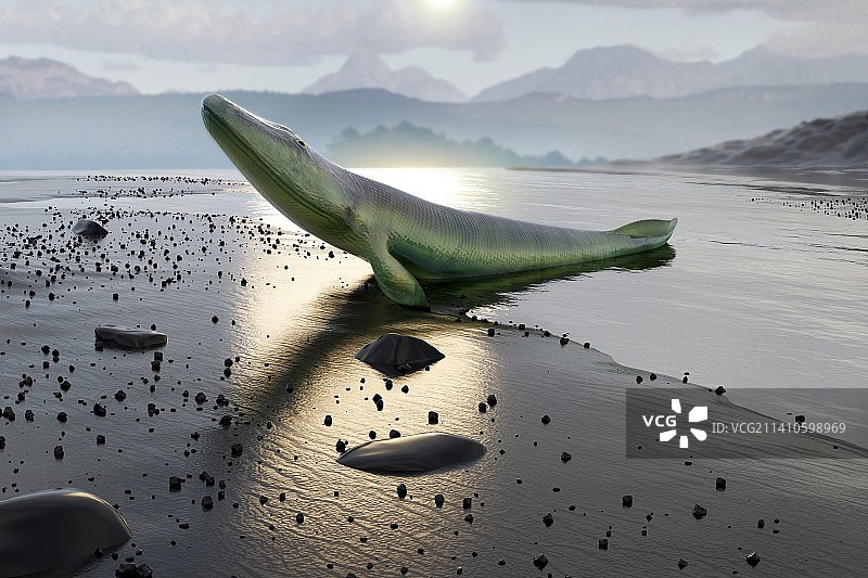 提塔利克鱼图图片素材