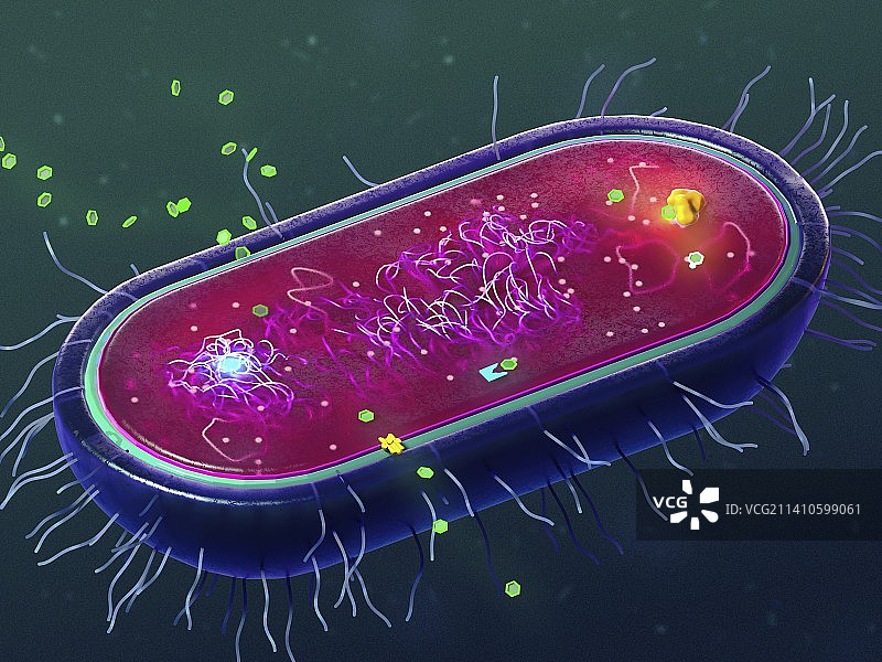 细菌抗生素耐药性机制示意图片素材