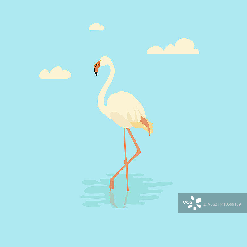 池塘中的火烈鸟插画图片素材