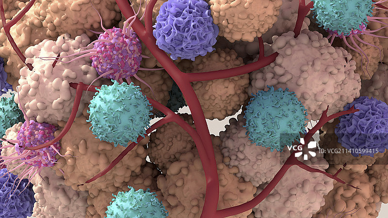 肿瘤微环境图示图片素材