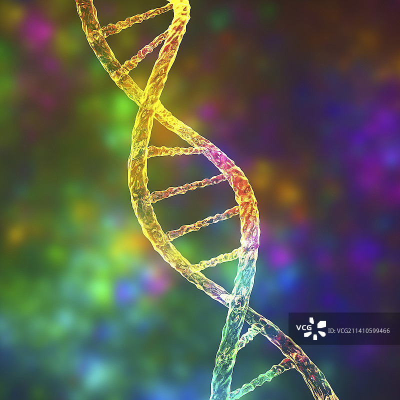 DNA分子，插图图片素材