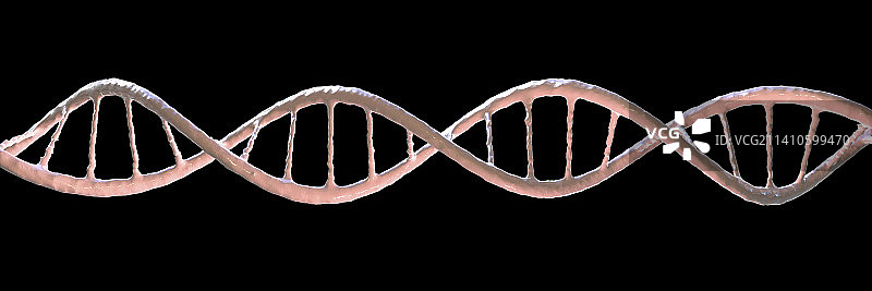 DNA分子，插图图片素材