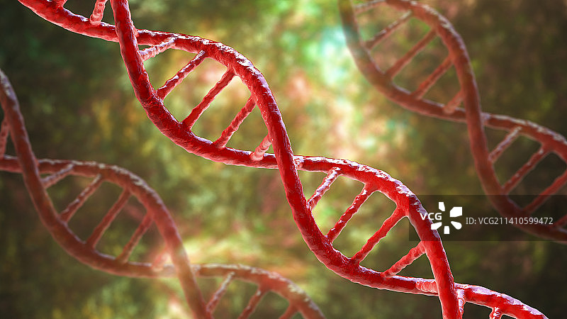 DNA分子，插图图片素材