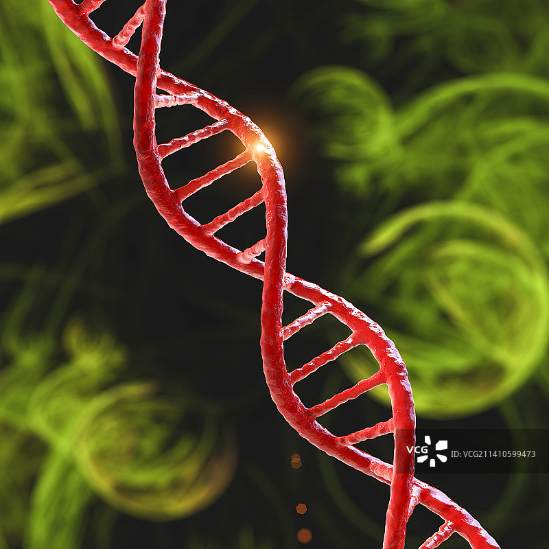 DNA分子，插图图片素材