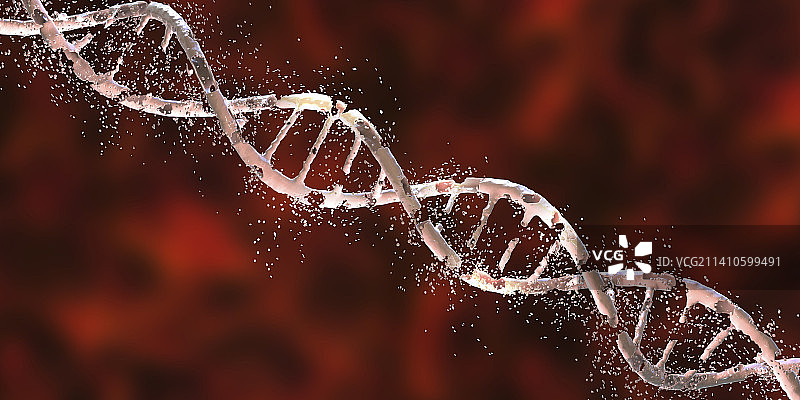 DNA损伤概念图图片素材