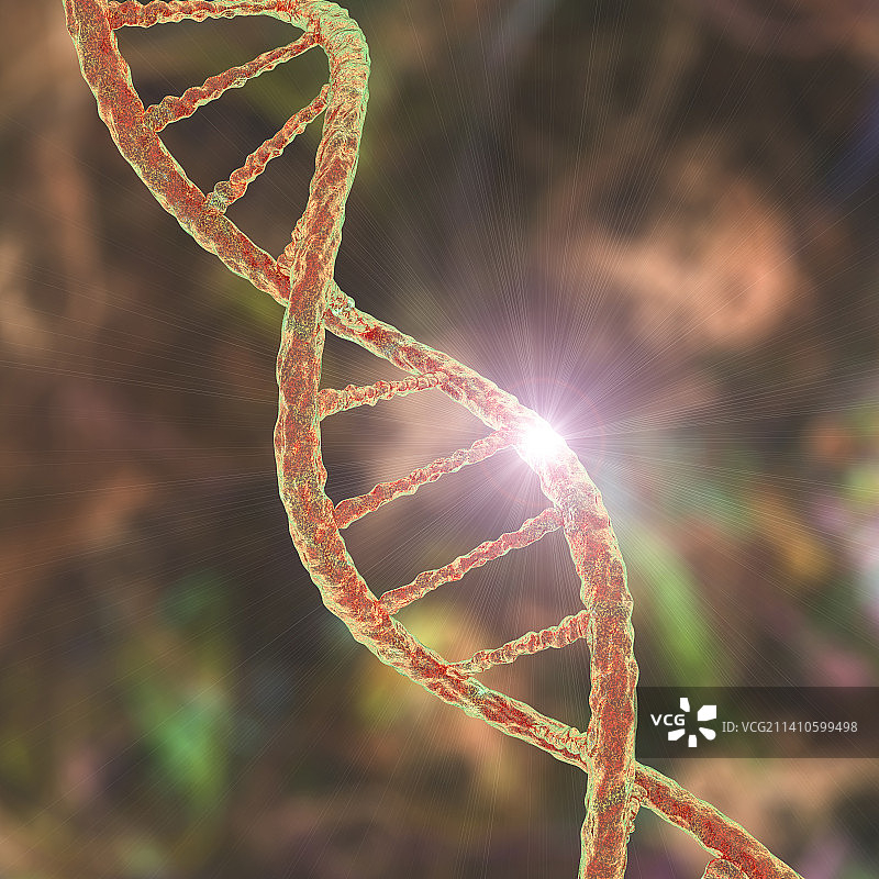 基因突变概念图图片素材