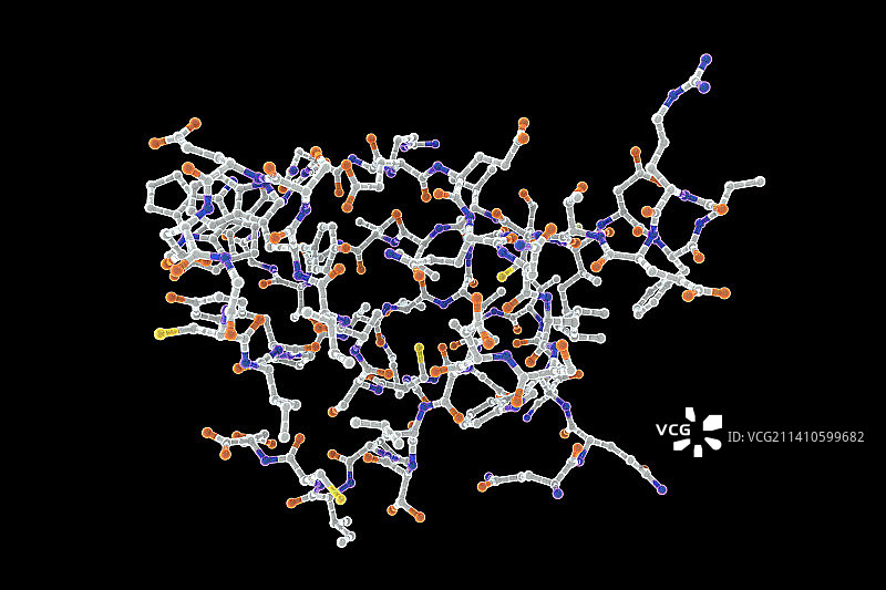 运动神经元生存蛋白插图图片素材