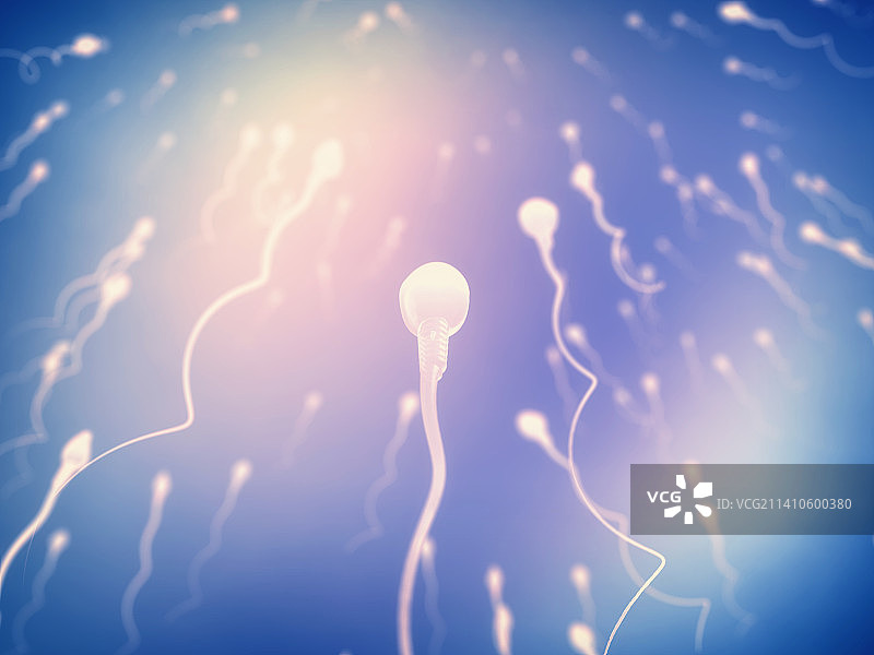 精子，插图图片素材
