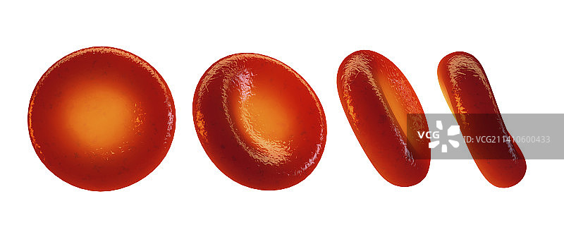 红细胞，插图图片素材