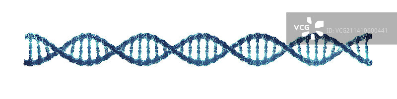 DNA分子，插图图片素材