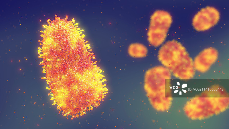 狂犬病病毒，图示图片素材