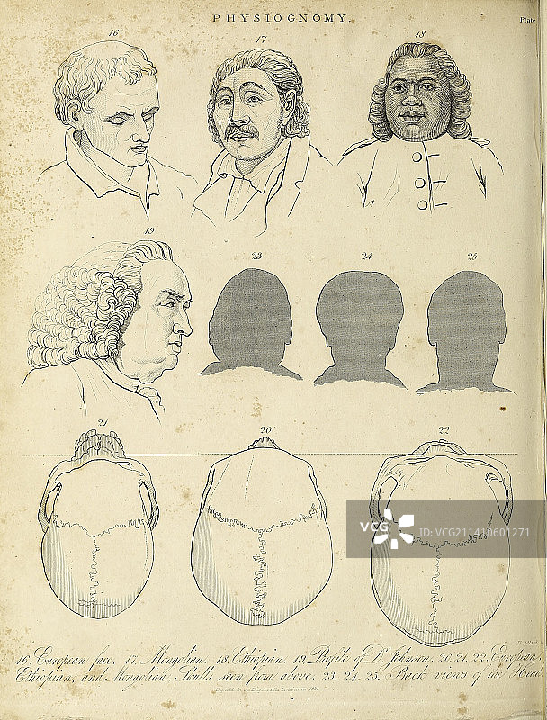 19世纪各种种族的面孔插图图片素材