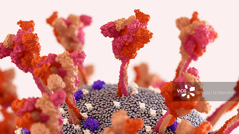 冠状病毒颗粒插图图片素材