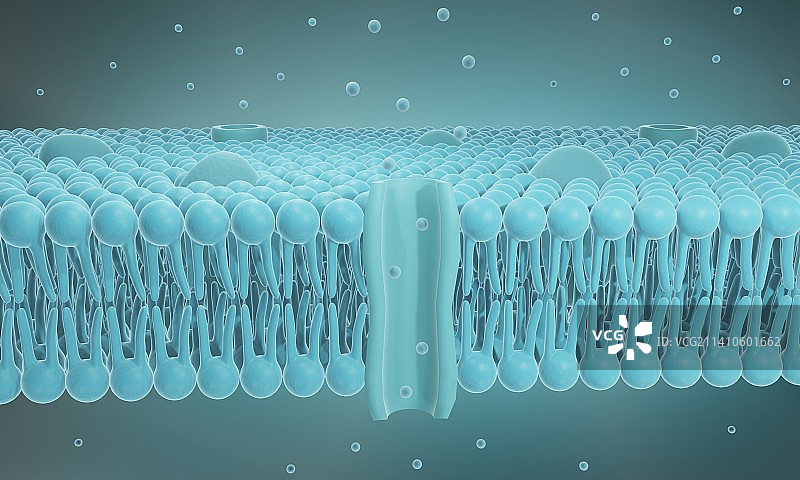 细胞膜与离子通道示意图图片素材