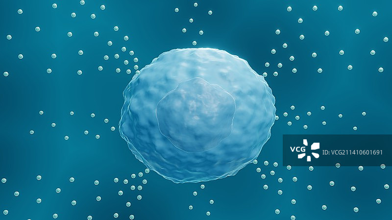 肥大细胞图图片素材