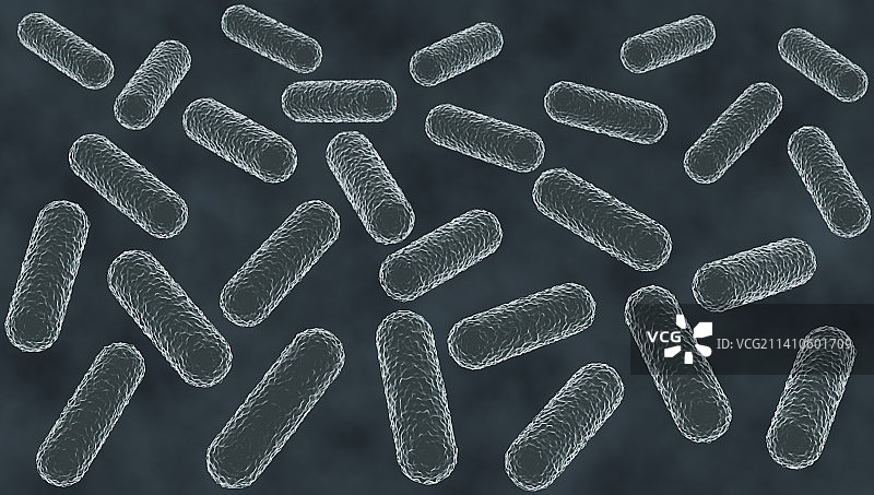 细菌显微图图片素材