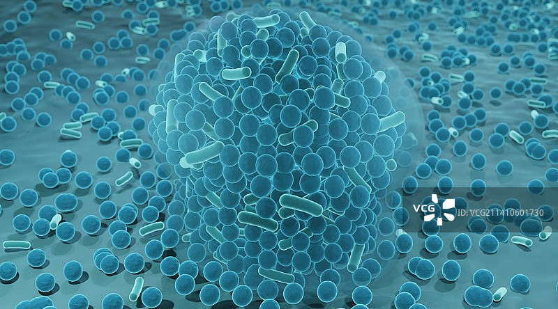 生物膜，图示图片素材