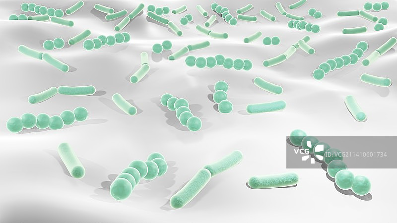 牙齿上的细菌插图图片素材