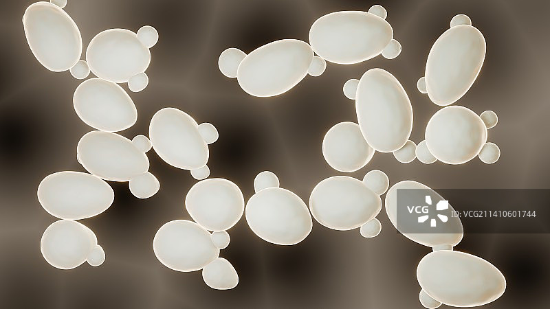 酵母菌插图图片素材