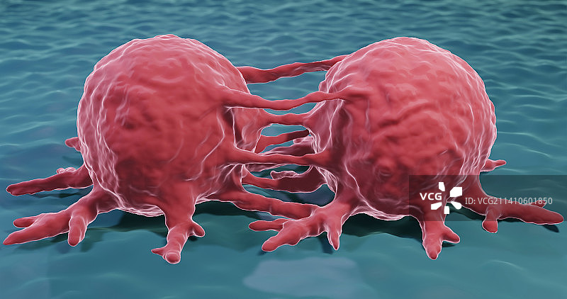 癌细胞分裂示意图图片素材