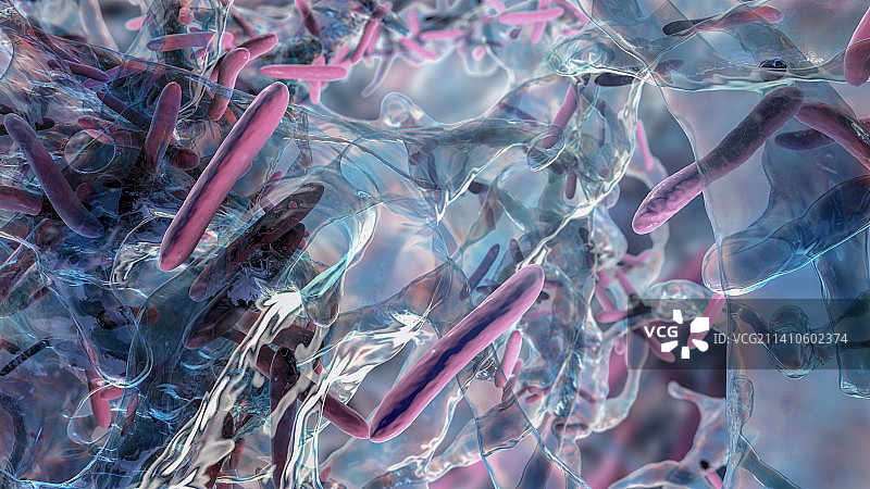 结核分枝杆菌生物膜插图图片素材