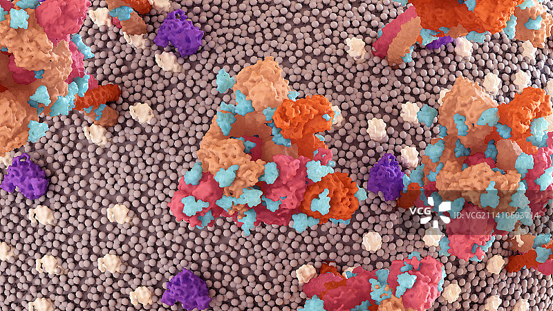 新型冠状病毒概念图图片素材