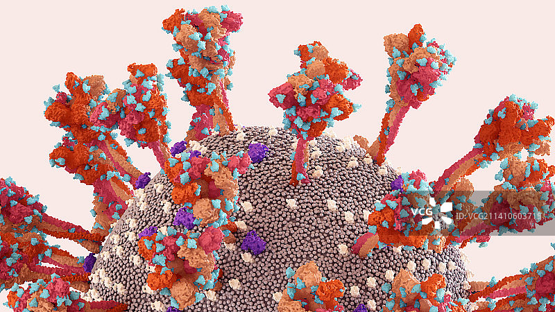 冠状病毒颗粒插图图片素材
