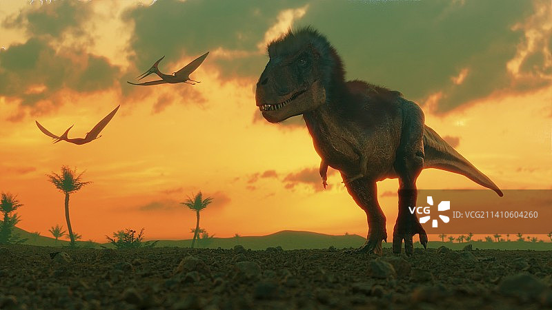 霸王龙艺术作品图片素材