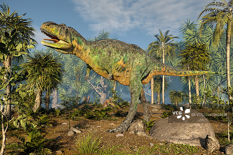 巨齿龙恐龙插画图片素材