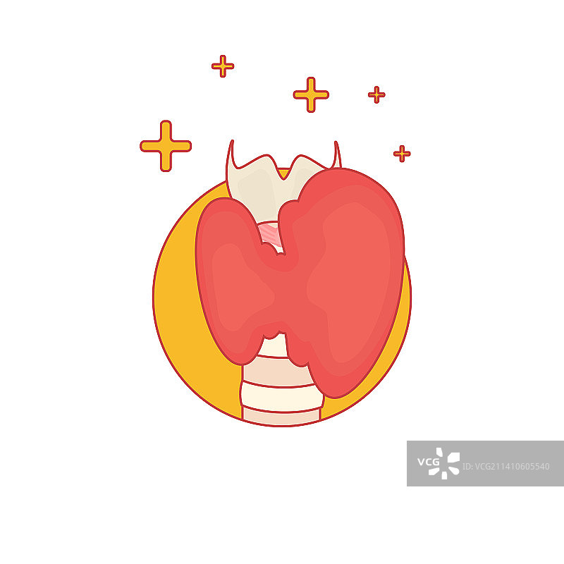 甲状腺疾病插图图片素材