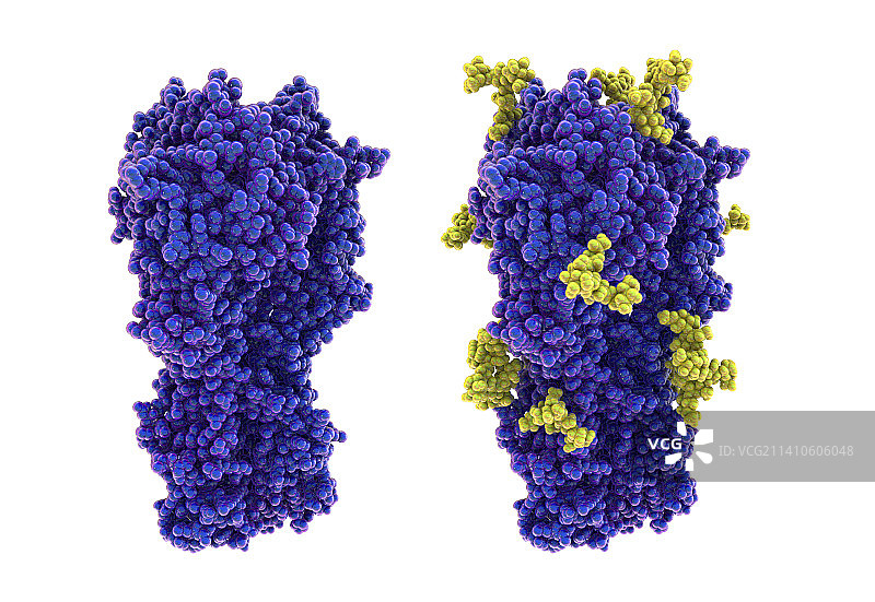 1968年H3N2型流感病毒的血凝素图解图片素材