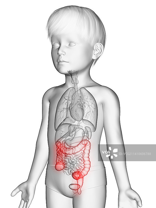 男孩结肠插画图片素材