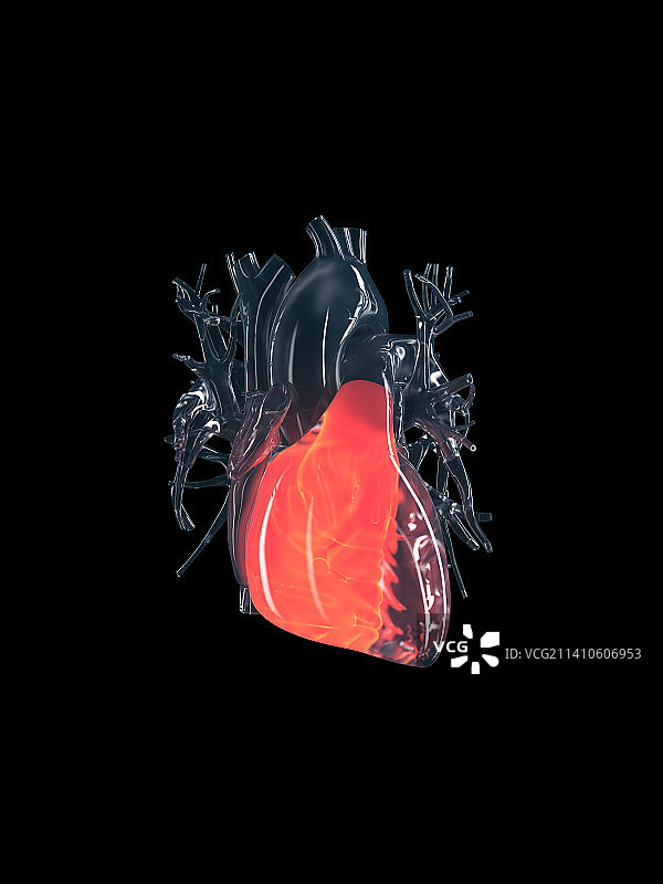 右心室示意图图片素材