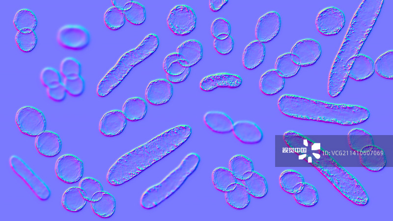 不同形状的细菌插图图片素材