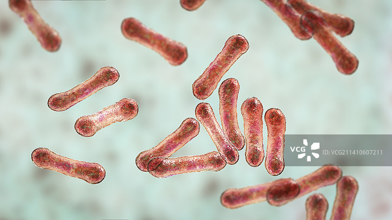白喉棒状杆菌插图图片素材