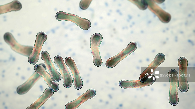 白喉棒状杆菌插图图片素材