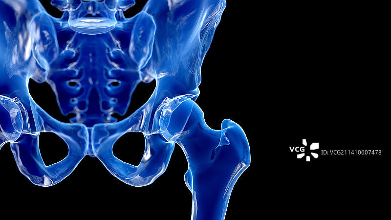 臀部插画图片素材