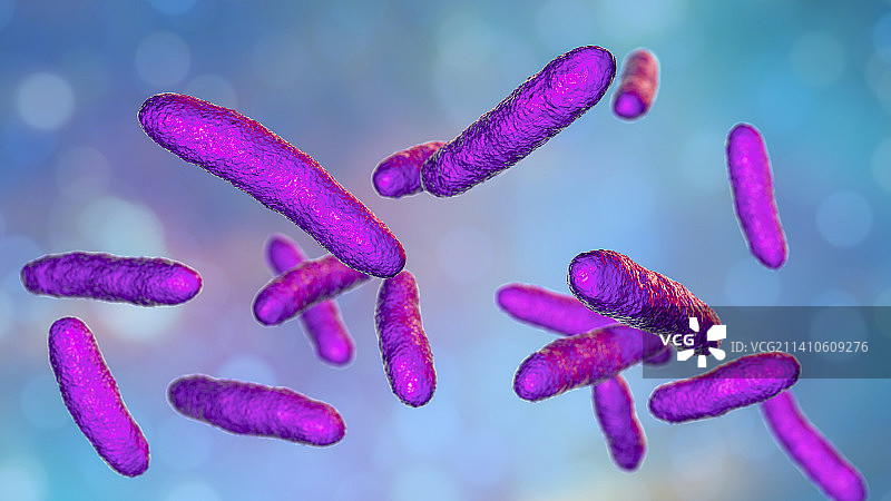 鞘氨醇单胞菌细菌插图图片素材
