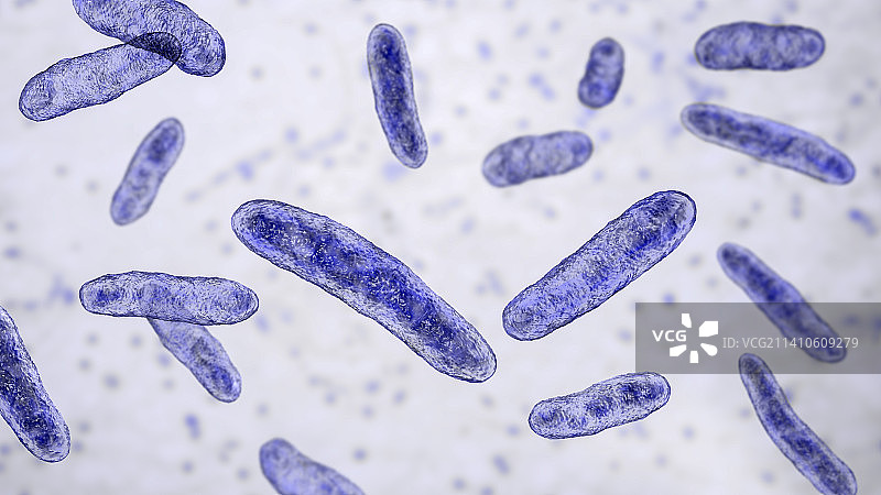 鞘氨醇单胞菌细菌插图图片素材