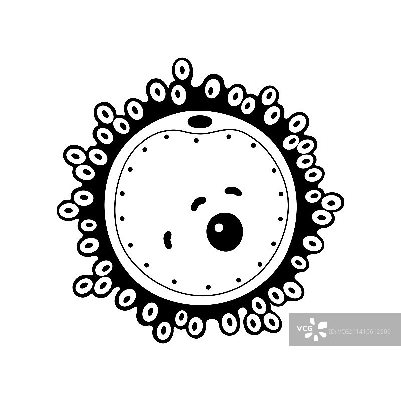 人类卵细胞，图示图片素材
