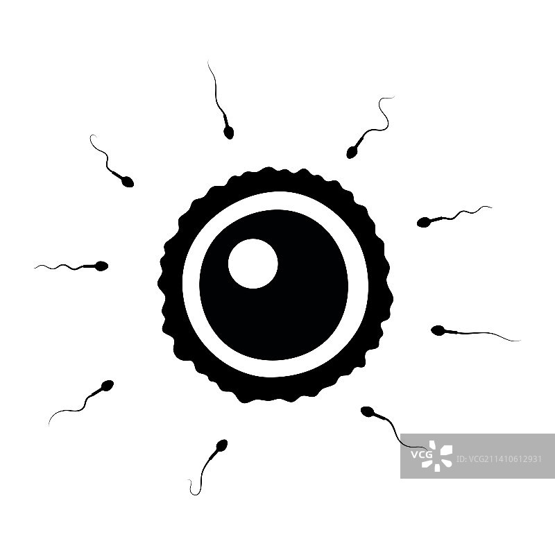 受精作用插图图片素材