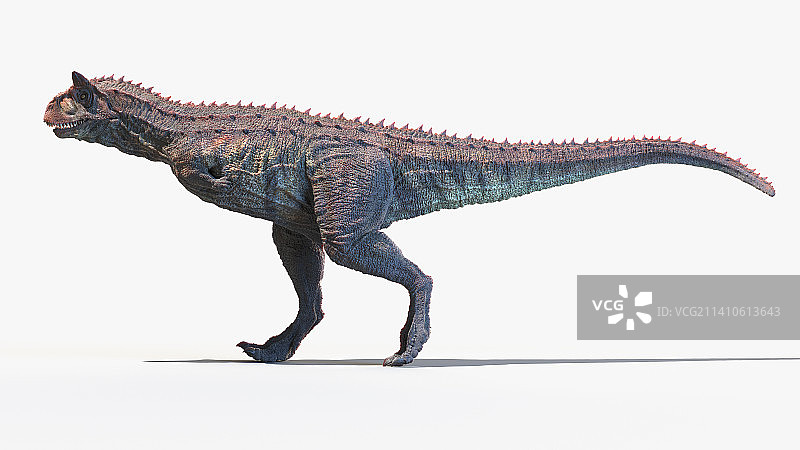 食肉牛龙插画图片素材