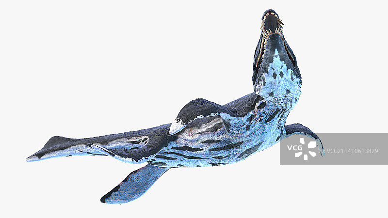 滑齿龙插画图片素材