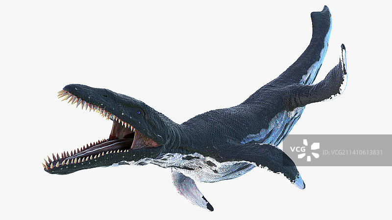 滑齿龙插画图片素材