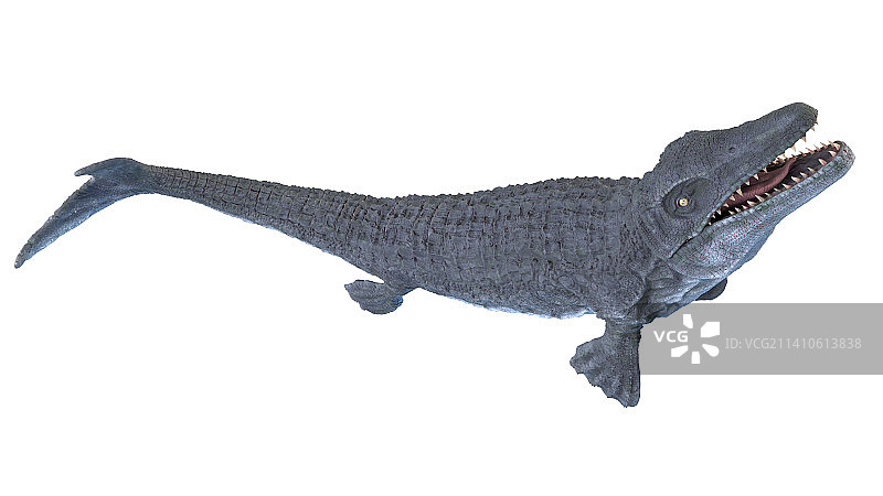 沧龙插画图片素材