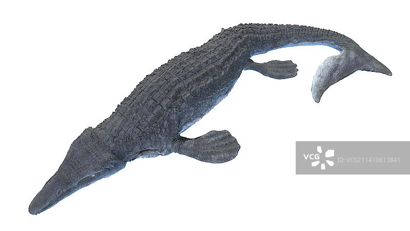 沧龙插画图片素材