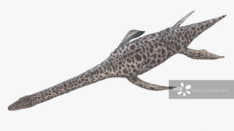 蛇颈龙插画图片素材