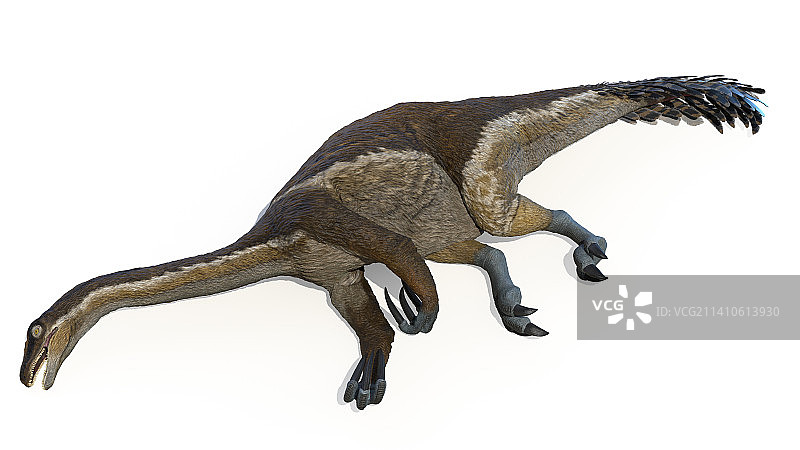 镰刀龙插画图片素材