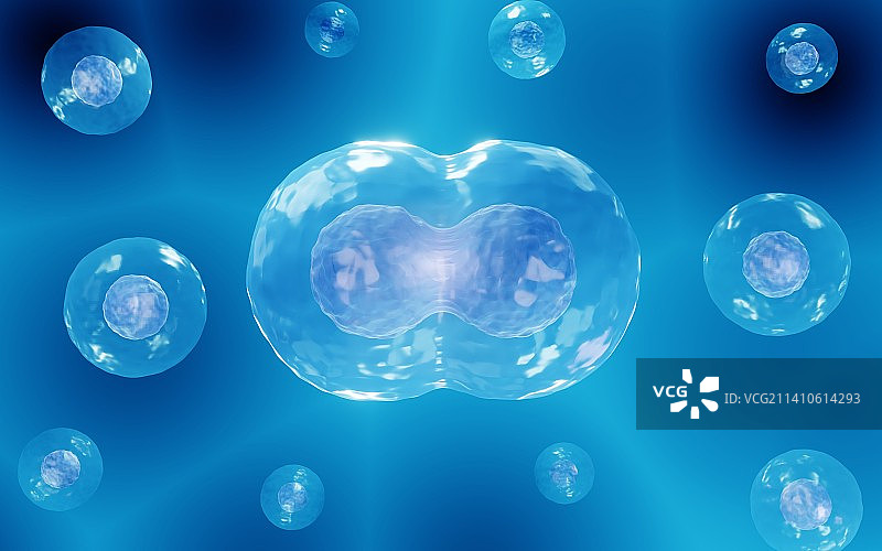 细胞分裂，图示图片素材