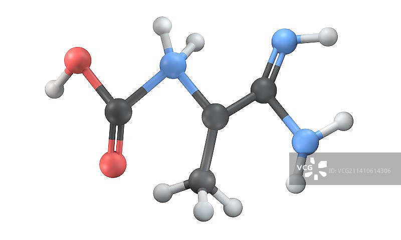 肌酸插画图片素材